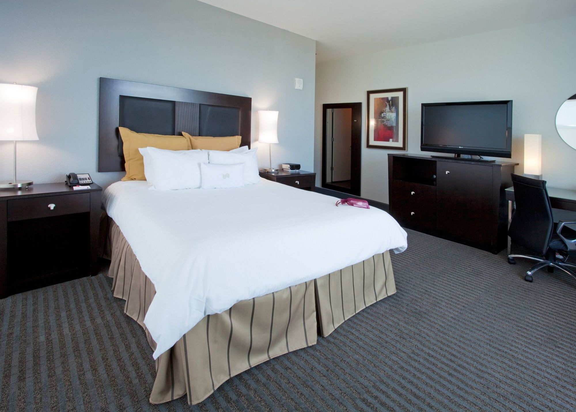 Hotel Alba Tampa, Tapestry Collection By Hilton Quarto foto